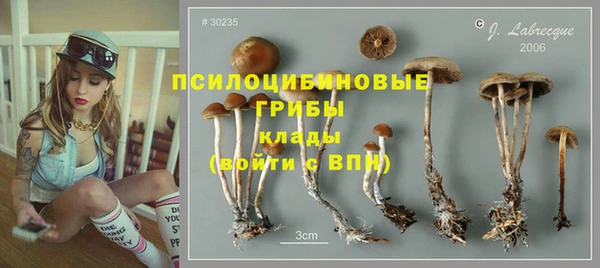 прущий лед Магас